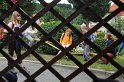 IMG_3711