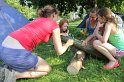 IMG_3890