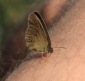 IMG_4181