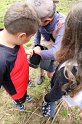 IMG_4451