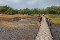 IMG_9149