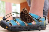 IMG_9179
