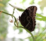 IMG_9188