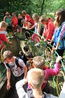 IMG_9261
