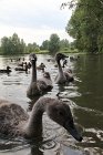 IMG_9278
