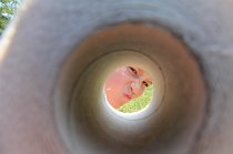IMG_9317
