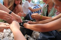 IMG_9353