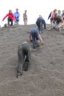 IMG_9590