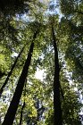 IMG_9801