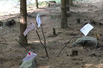 IMG_9840