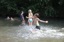 IMG_4371