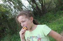 IMG_4471
