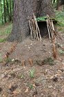 IMG_8803