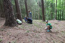 IMG_8829
