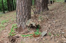 IMG_8840