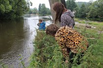 IMG_8981