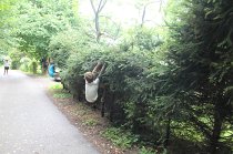 IMG_9029