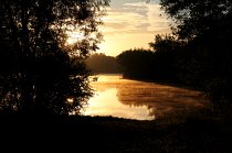 IMG_9082