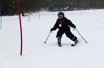 Sklenarice-083