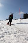 Sklenarice-145