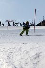 Sklenarice-150