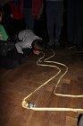 IMG_7544